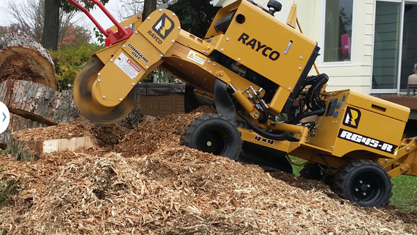 Tree stump grinding services in Oxford