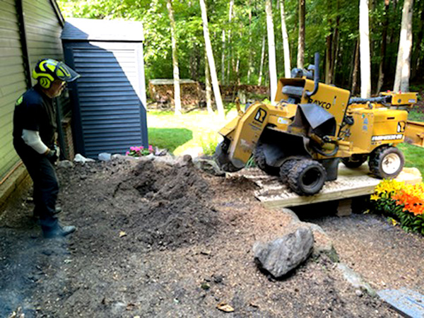 tree stump removal services in grand blanc