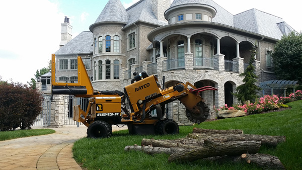 tree stump removal services in grand blanc