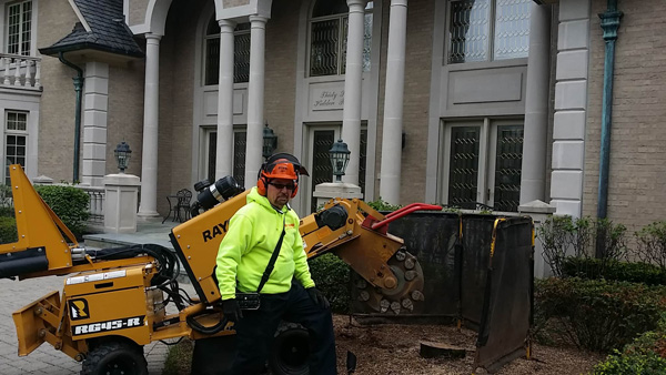 tree stump removal services in lake orion