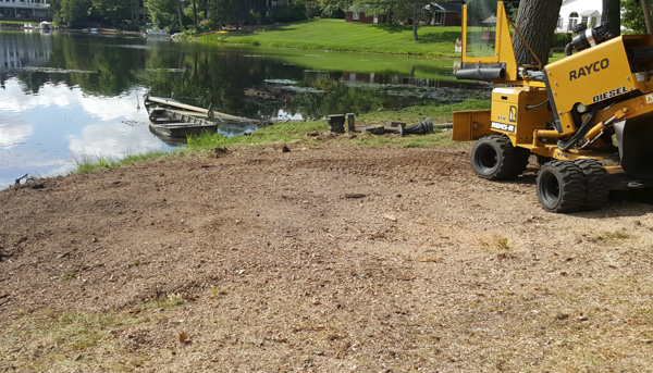 tree stump removal services in Bloomfield Hills