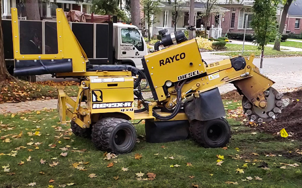 tree stump removal services in Clawson