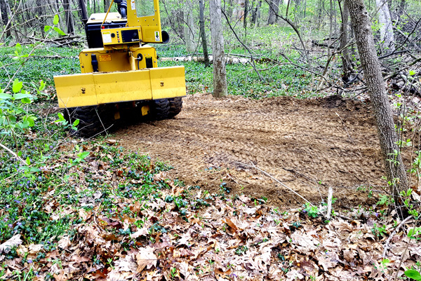 tree stump removal services in auburn hills