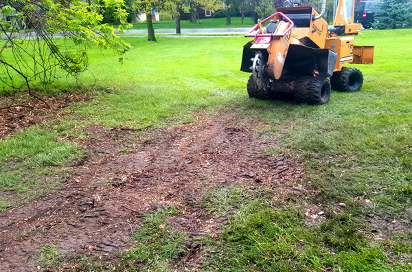 tree stump removal services in bloomfield township