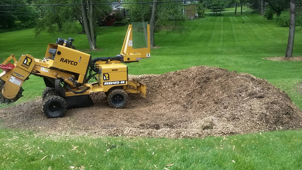 tree stump removal services in troy