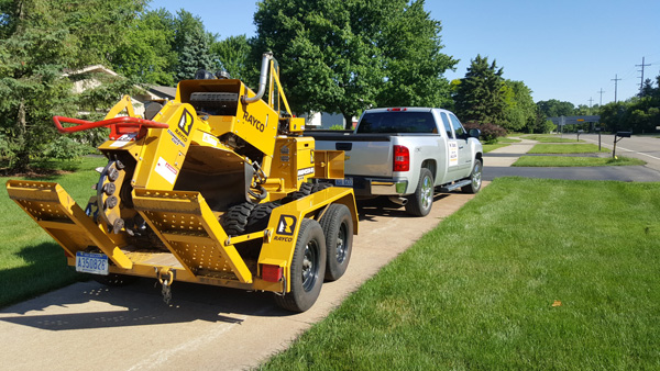 tree stump removal services in troy