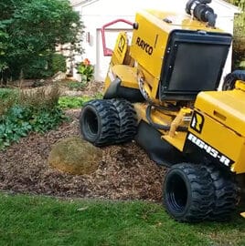 Tree Stump Removal Services in Ortonville