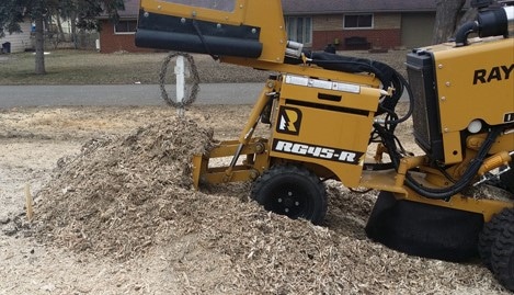 Tree Stump Removal Services in Sterling Heights