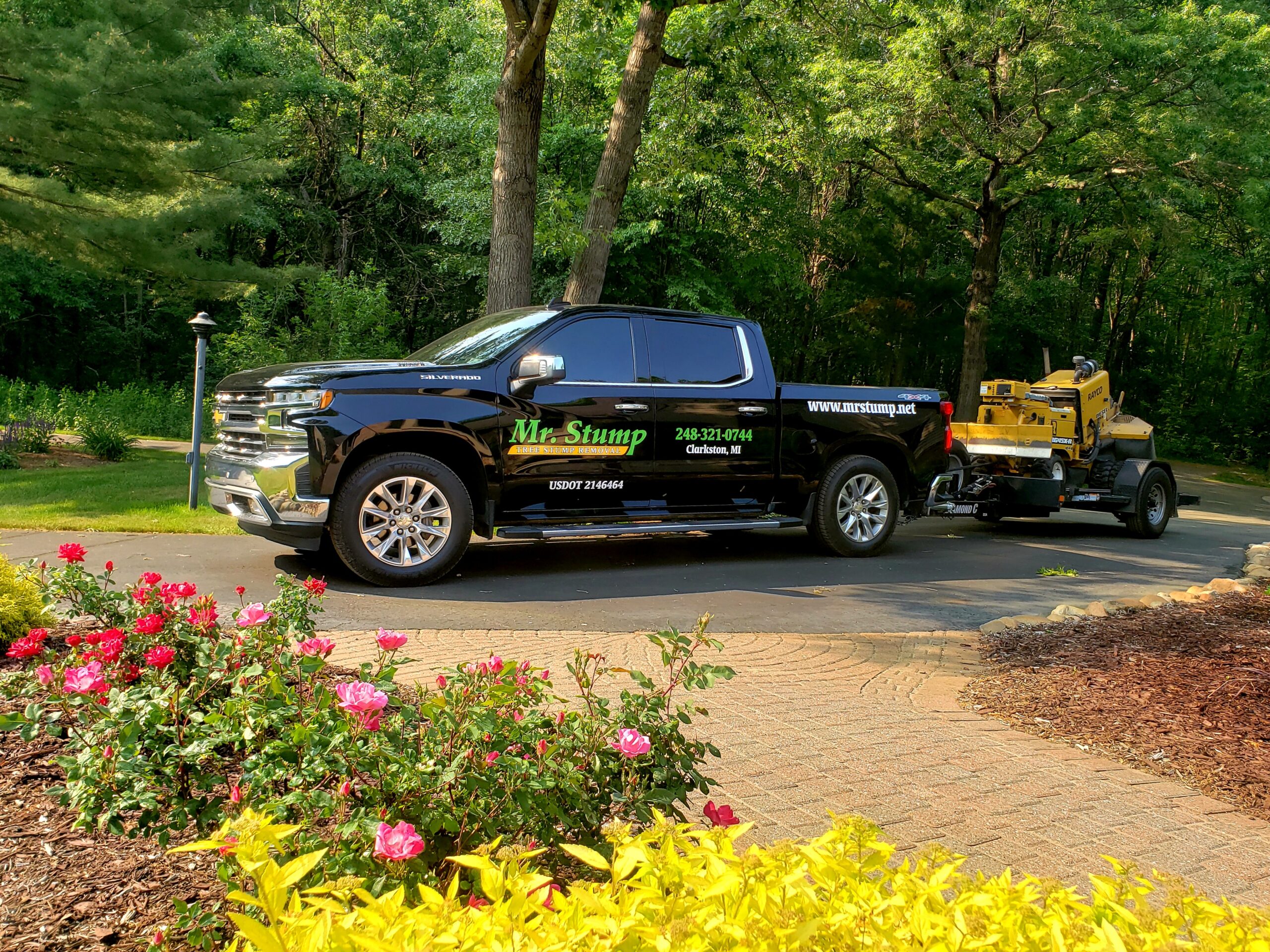 tree stump removal services in lake orion