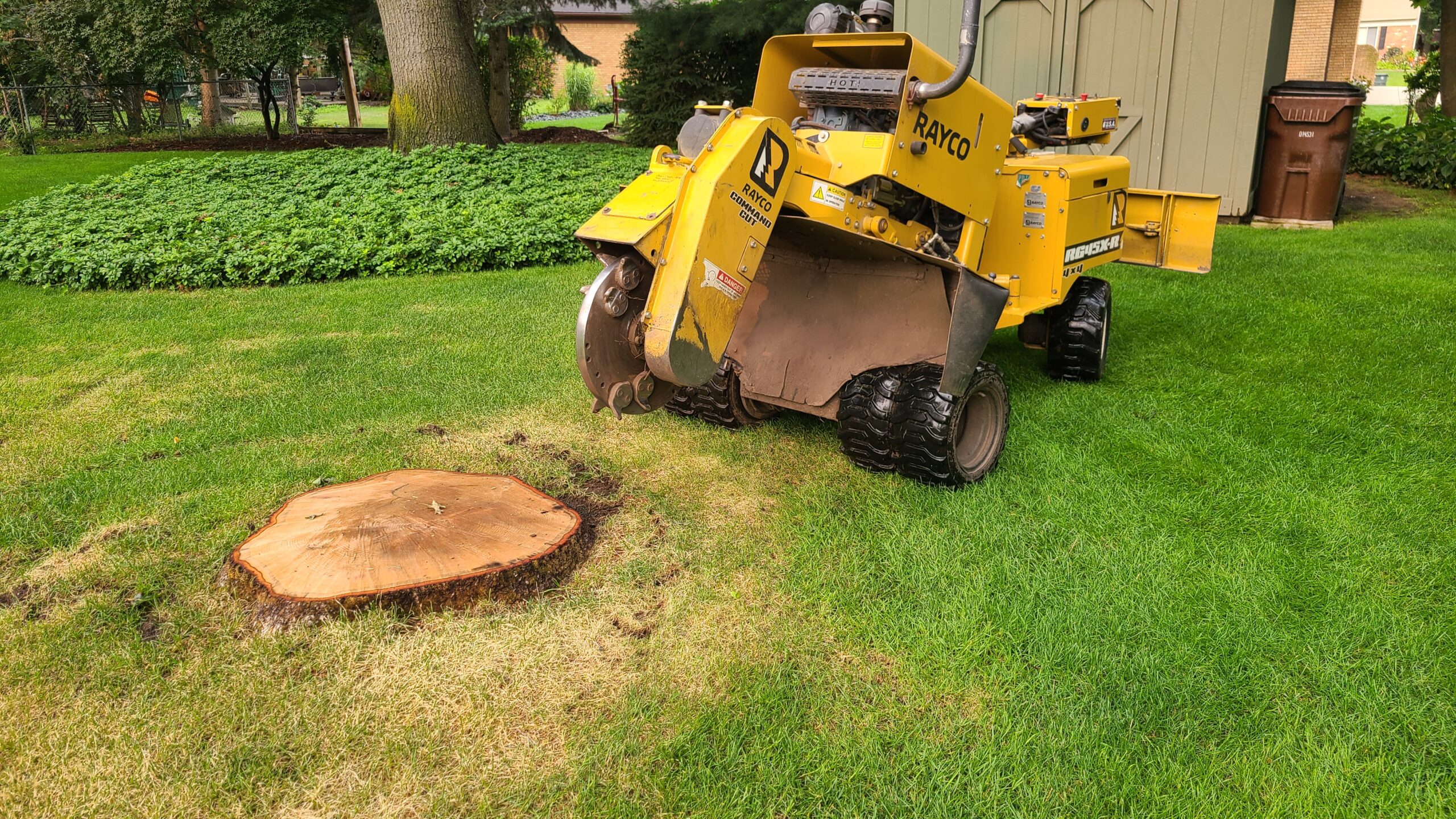 tree stump removal services in auburn hills