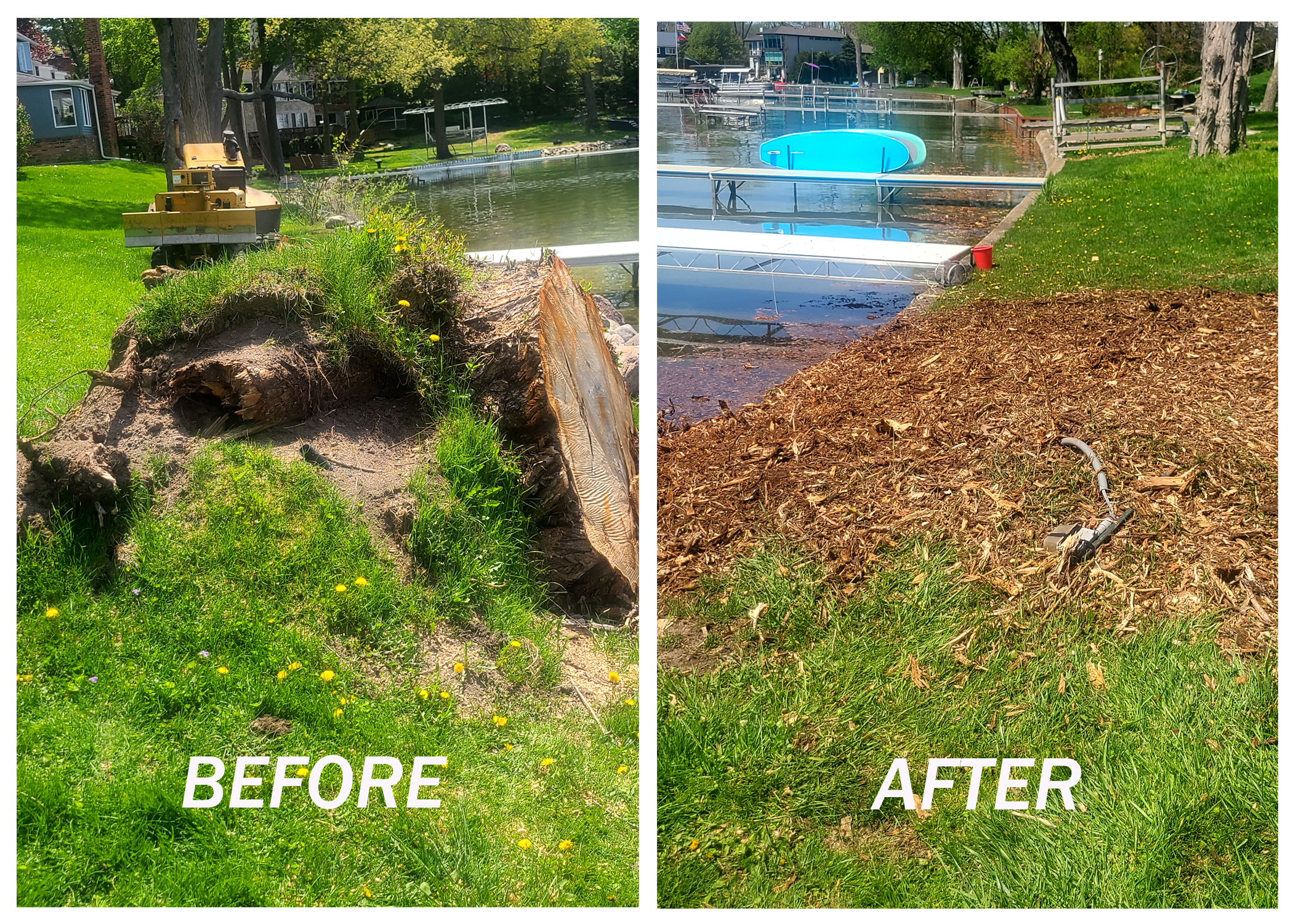 tree stump removal services in west bloomfield
